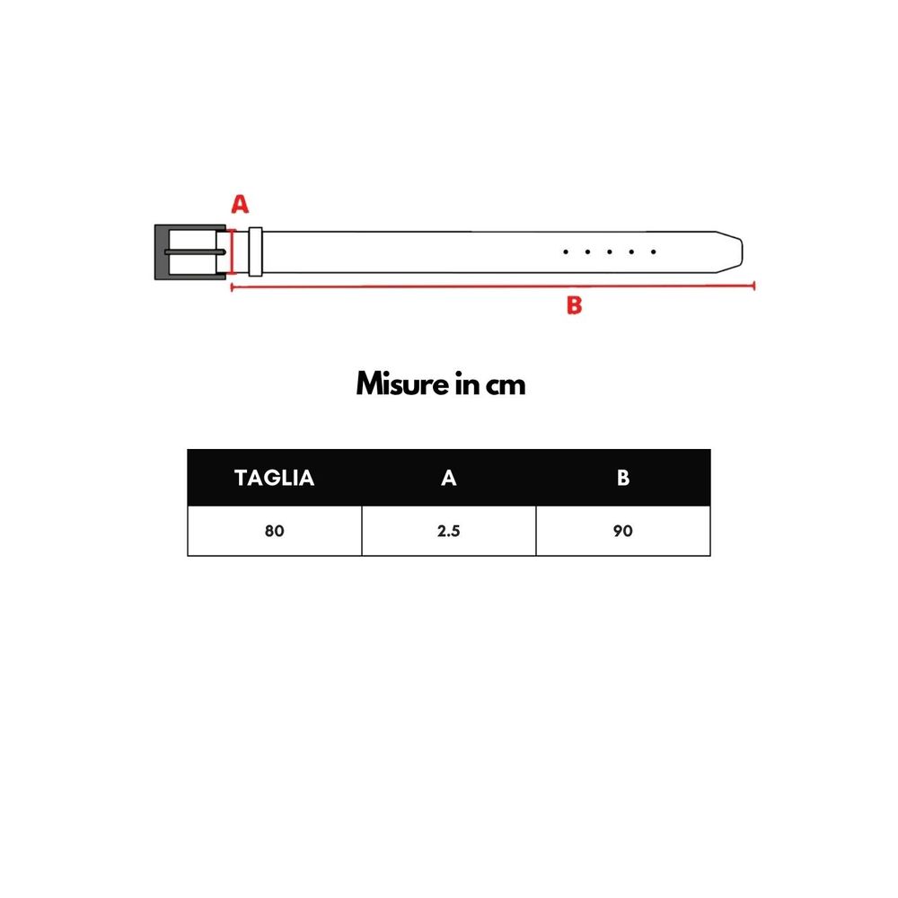 حزام دولتشي آند غابانا الذهبي الجلدي العادي