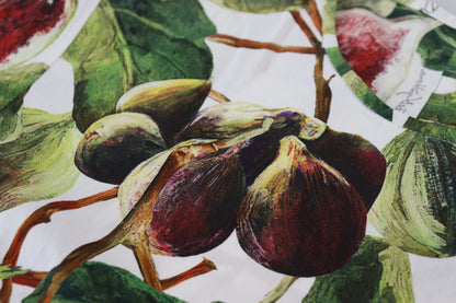 بلوزة قطنية بياقة دائرية من دولتشي آند غابانا، تي شيرت بطبعة فاكهة