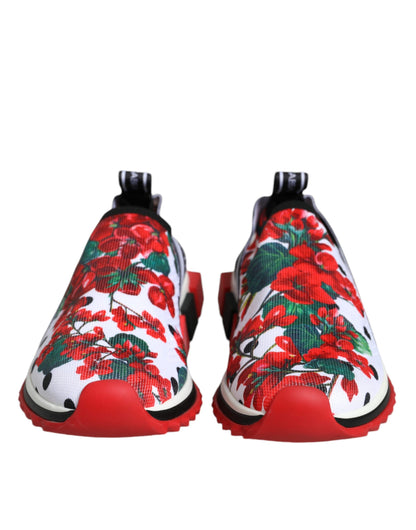 حذاء سنيكرز دولتشي آند غابانا متعدد الألوان من جيرانيوم سورينتو