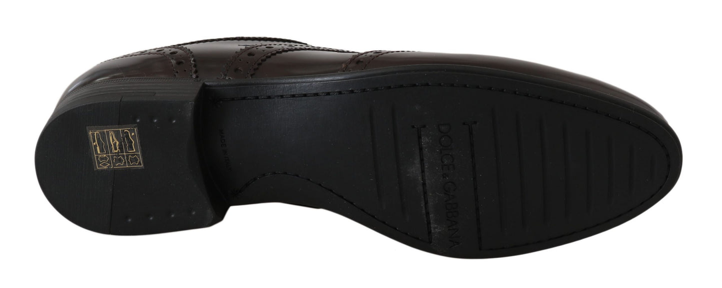 حذاء دولتشي آند غابانا أوكسفورد وينج تيب من الجلد البني